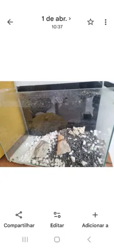 Aquario com acessorios