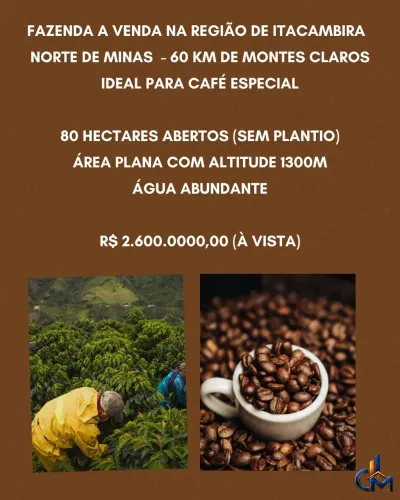 Fazenda ideal para café