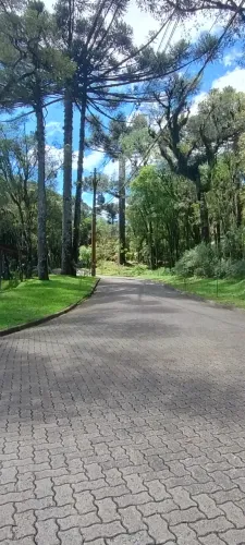 Lindo lote no condomínio Pinheiro Grosso