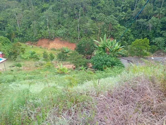Vende-se chácara divisa de Marechal Floriano