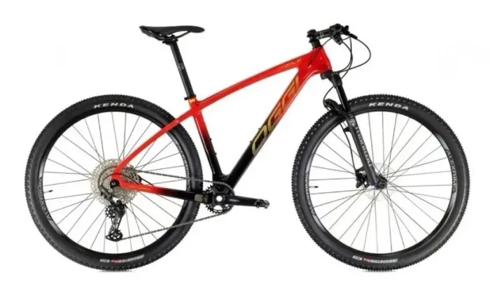 Bicleta fibra de carbono aro 29