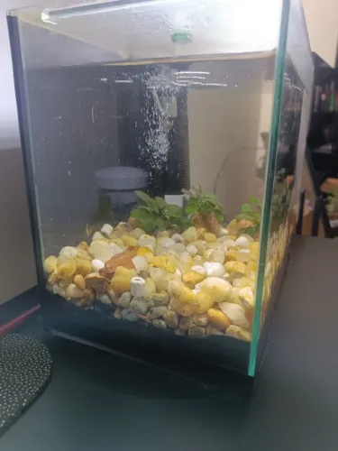 Aquário 20 litros com itens