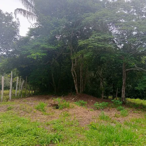 Terreno no Carlos Braga Iranduba