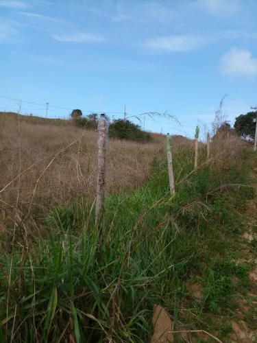 Terrenos