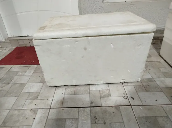 Caixa de isopor 50l