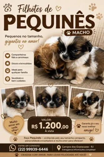 Cachorro Pequines