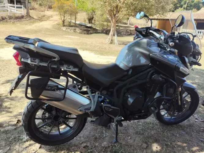 TRIUMPH/TIGER EXPLORER