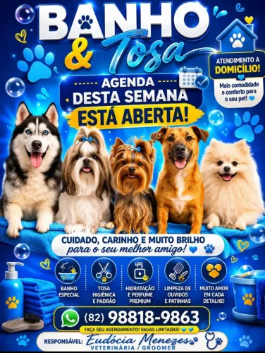 Banho e tosa a domicílio
