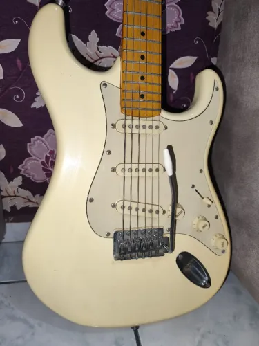 Guitarra Woodstock Tagima TG500