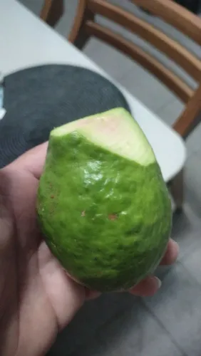 Semi-joia Rommanel 