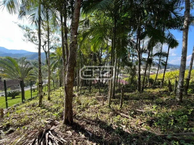 Terreno à venda em Guabiruba-SC, bairro Aimoré, com 6.916,50 m² de área! Venha conferir!