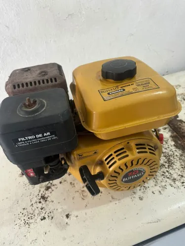 Motor Buffalo 4t