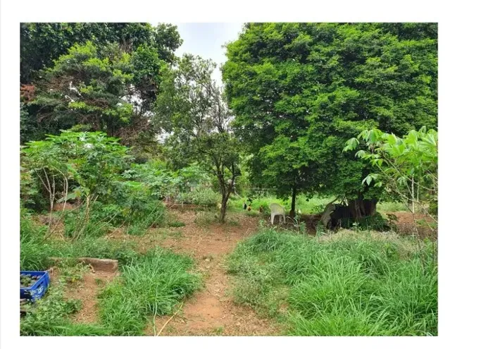 Lindo terreno em Mosqueiro