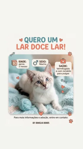 Adoção