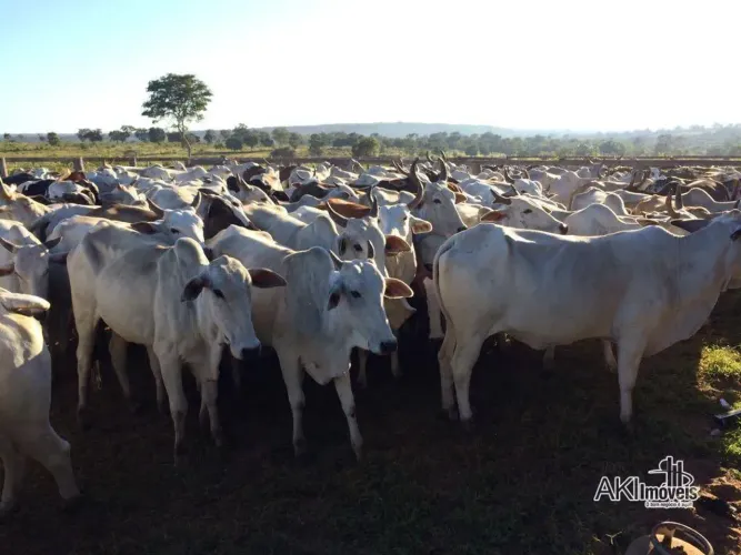 Fazenda à venda, 74971 m² por R$ 201.460.000,00 - Zona Rural - Dianópolis/TO
