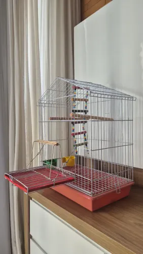 Gaiola Luxo Completa comedouros poleiros balanço para Calopsitas Periquitos Agapórnis