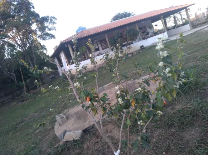 Vendo Troco Chácara Mumbuquinha Passos