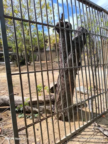 Vendo portão de grade, garagem e pedestre, 3m x 3m valor 500,00