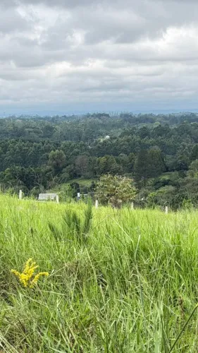 SÍTIO COM VISTA PANORÂMICA NA SERRA GAÚCHA - Morro Reuter / Linha Cristo Rei - RS