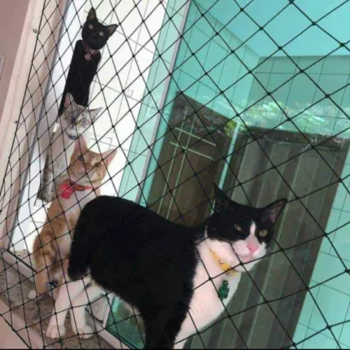 Telas de proteção 