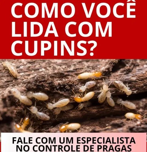 Descupinização por barreira química