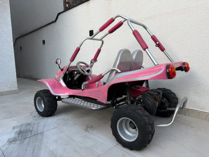 Mini buggy Fapinha 2021