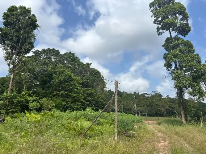 Vendo Lindo Sítio em Santa Bárbara do Pará.