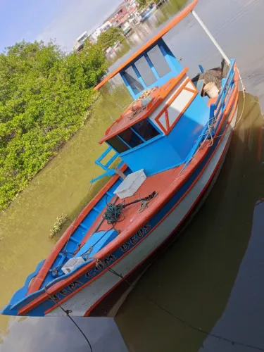 Barco novo