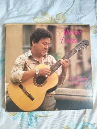 Vinil
