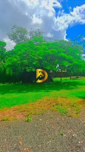 Chácara Comercial/Industrial para Alugar em Uberaba - Lourdes, 420m² Externos