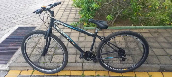 Aro 29 bicicleta