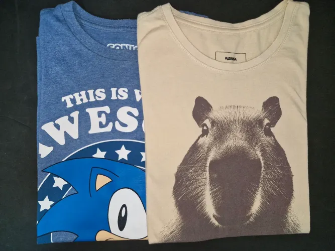 Duas camisetas para menino adolescente tamanhos 12 e 14 - Estampas Sonic e Capivara