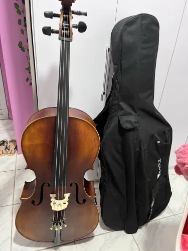 Violoncelo eagle CE310