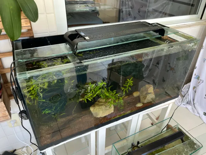 Aquário com sump - completo