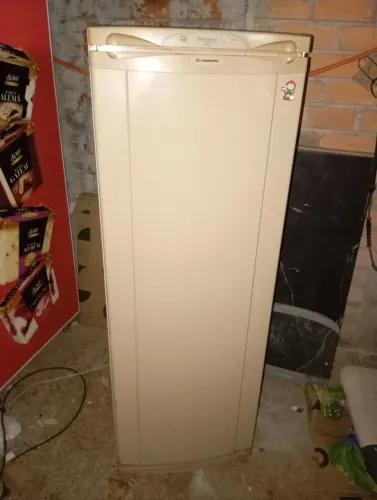 Vendo Freezer Continental 230Litros, 110Volts, Revisado e Com 3 Meses de Garantia