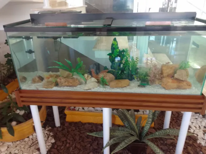Aquário 255litros