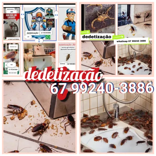 dedetização em residência apt