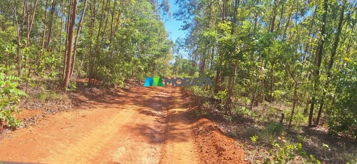 FAZENDA À VENDA - 730 HECTARES - CORINTO - MG