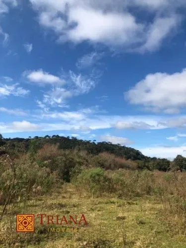 TERRENO PRÓXIMO AO CENTRO DE RIO RUFINO