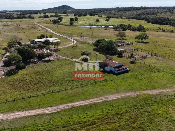 Fazenda 140 alqueires (677,6 hectares) Mozarlandia - Go