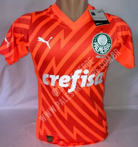 CAMISA III PALMEIRAS GOLEIRO PUMA 2024 - JOGADOR