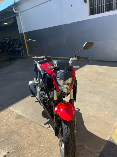 Honda CB 300f Twister Flex 2024