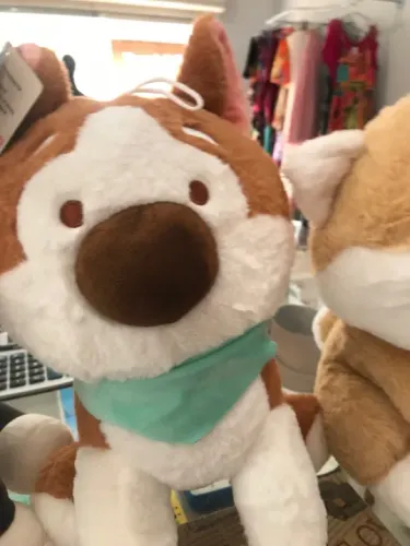 Cachorro bandana fofo