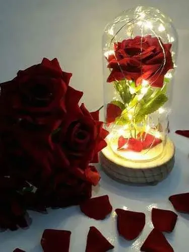 luminária rosa encantada