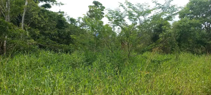 Área para Sítio em Tijucas