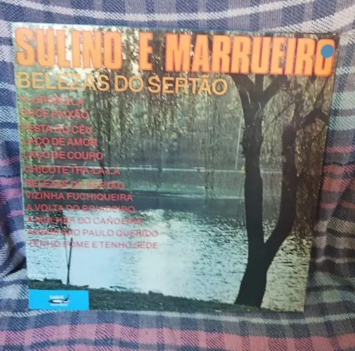Disco de Vinil sertaneja antiga