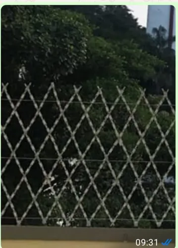 Concertina
