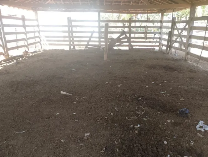 VENDO ESTERCO DE GADO PARA SUA PLANTAÇÃO 