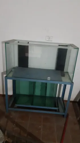 Aquário para Peixes