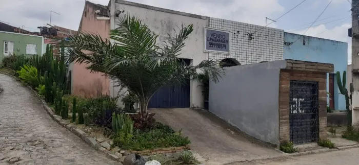 PÉ DE DENDÊ COM MAIS DE 2M DE ALTURA